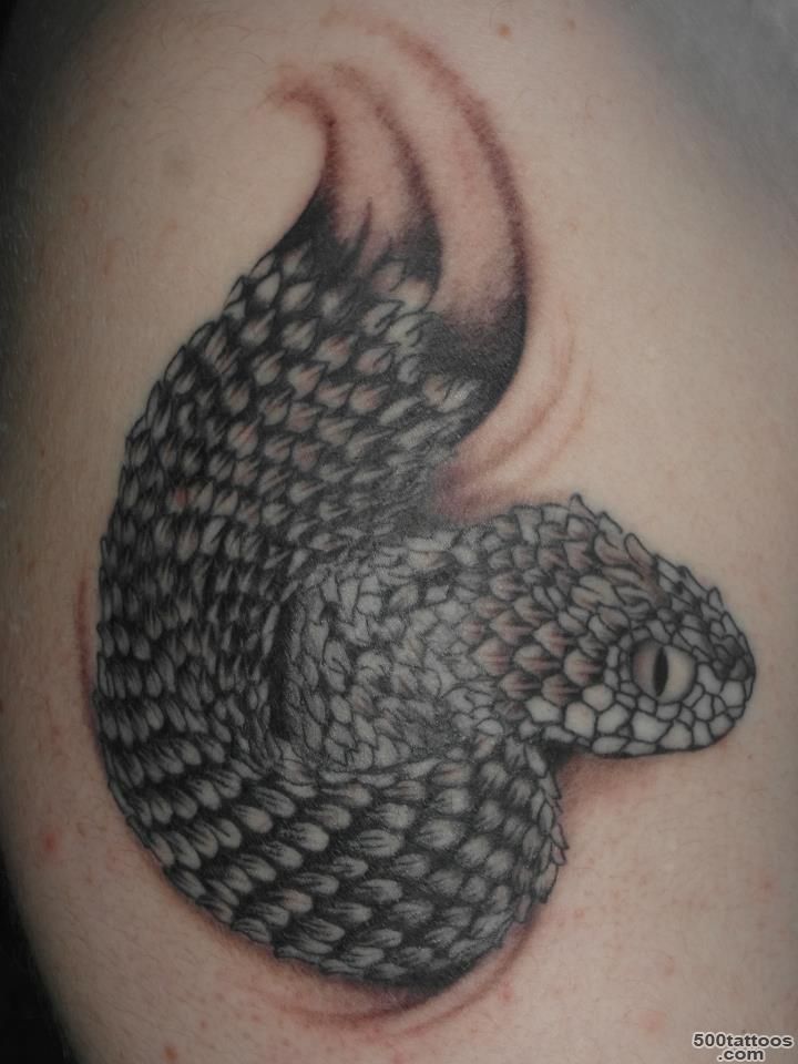 Top Bush Viper Tattoo Images for Pinterest Tattoos_33