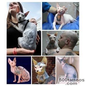 Great News! You Can#39t Tattoo Or Pierce Your Pet In New York _24