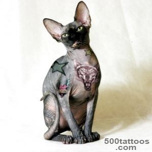 Tattooed Cats 16 Sphynx Cats With Ink   Bored!_23