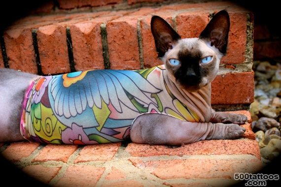 Tattcat™ Lucky#39s Bird Tattoo Sphynx Cat Clothes by SimplySphynx_7