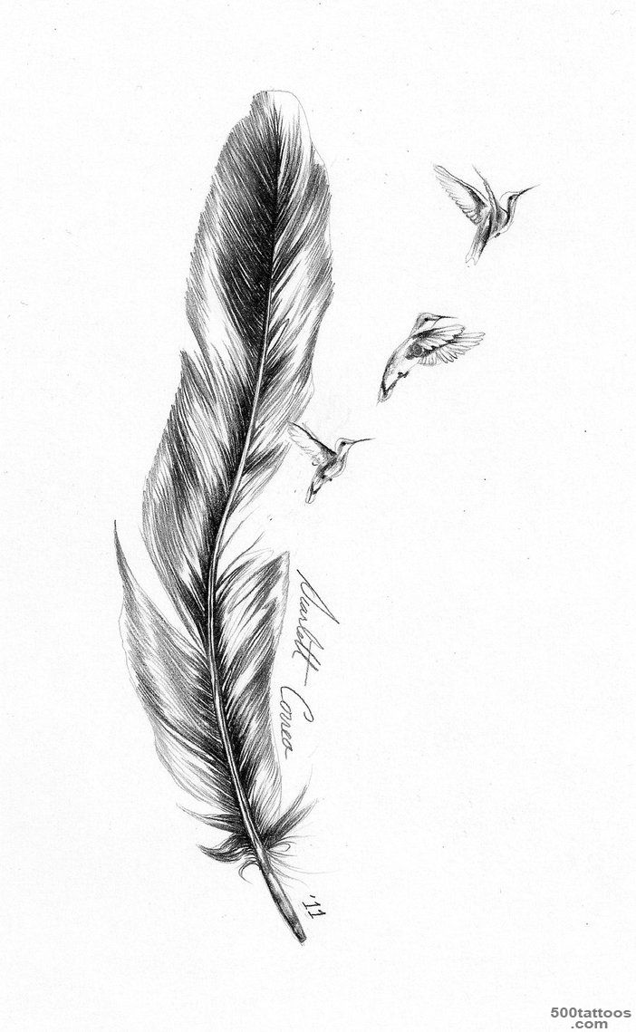 Feather Tattoo Images amp Designs_13