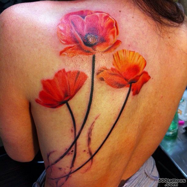 60 Beautiful Poppy Tattoos  Poppies Tattoo, Poppies and Tattoos ..._5