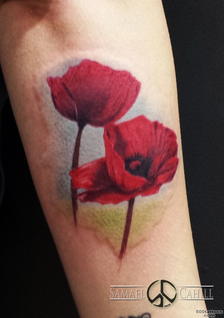 Tattoo on Pinterest  Poppies Tattoo, Poppies and Remembrance Poppy_8