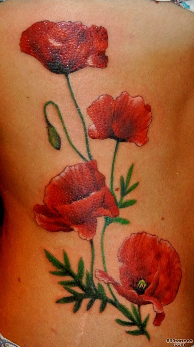 Top Poppy Leaf Images for Pinterest Tattoos_41