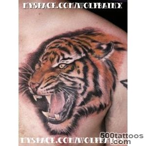 Realistic Angry Tiger Tattoo For Chest  Tattoobitecom_48