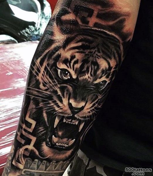 100 Tiger Tattoo Designs For Men   King Of Beasts And Jungle_36