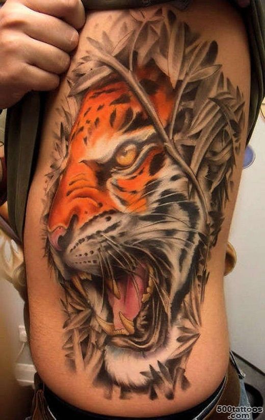 Beautiful Tiger Tattoo Ideas  Best Tattoo 2015, designs and ideas ..._26