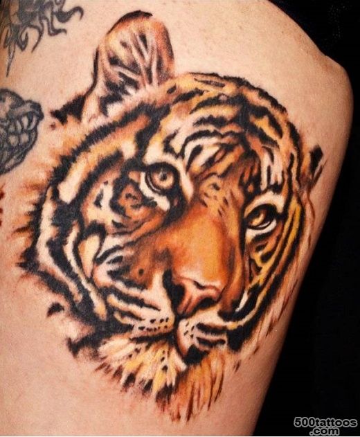 Beautiful Tiger Tattoo Ideas  Best Tattoo 2015, designs and ideas ..._35