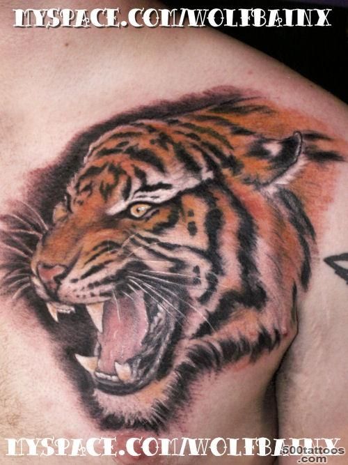 Realistic Angry Tiger Tattoo For Chest  Tattoobite.com_48