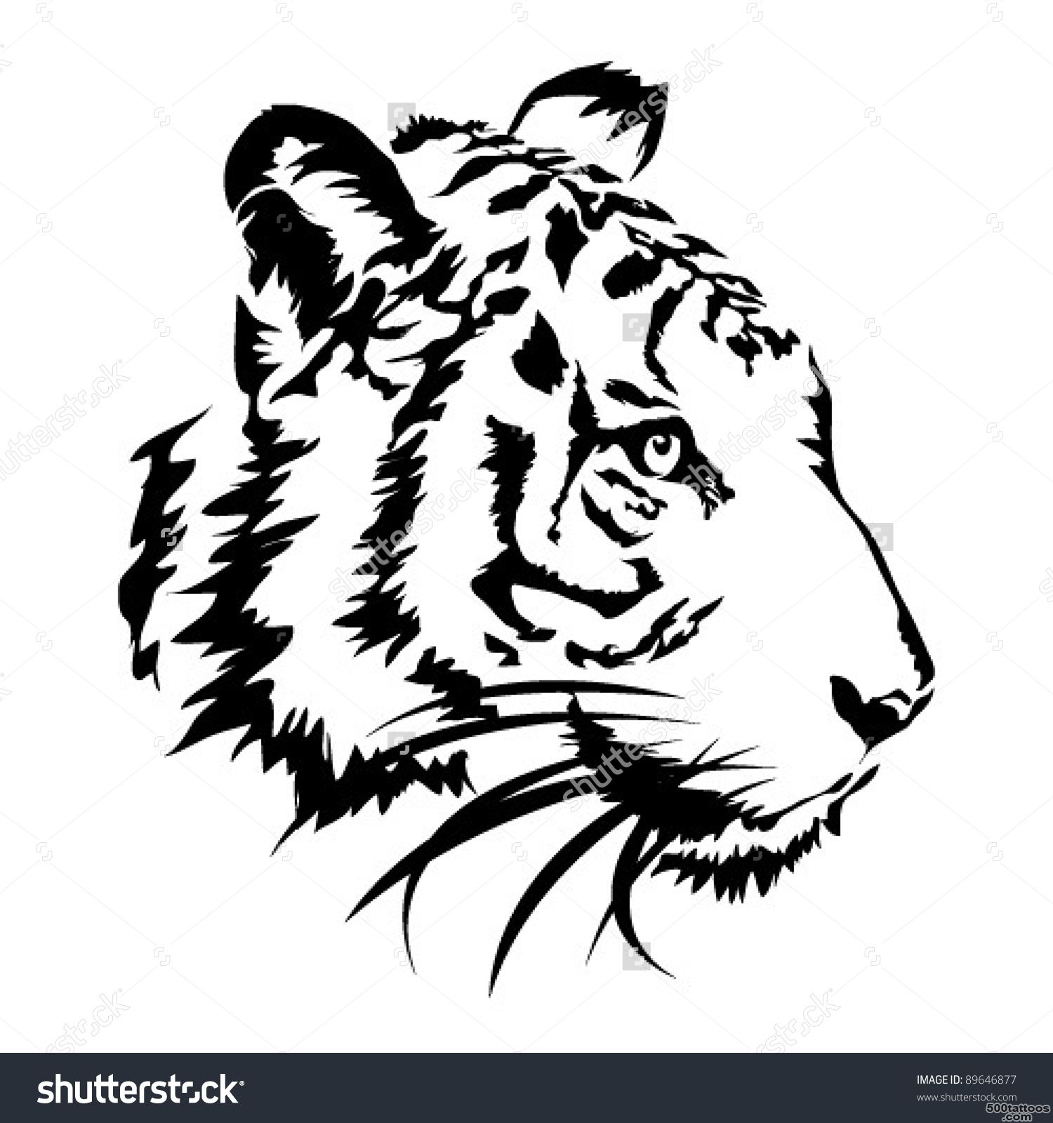 Tiger Tattoo Stock Photos, Images, amp Pictures  Shutterstock_28