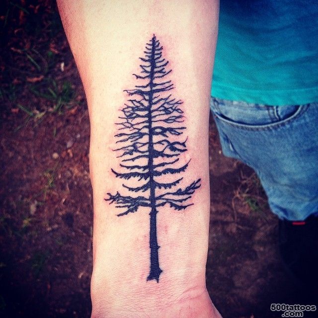 30+ Simple and Easy Pine Tree Tattoo Designs for Everyone_13