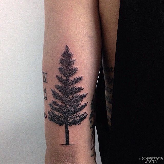 30+ Simple and Easy Pine Tree Tattoo Designs for Everyone_39