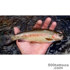 Pin Rainbow Tattoos Trout – Tattoo Picture At Checkoutmyink on _49