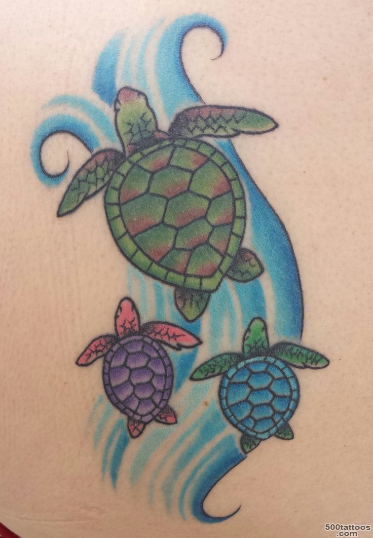 1000+ ideas about Turtle Tattoo Designs on Pinterest  Turtle ..._36