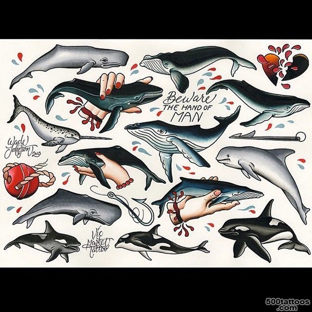 3 Cool Whale Tattoo Designs And Samples_46