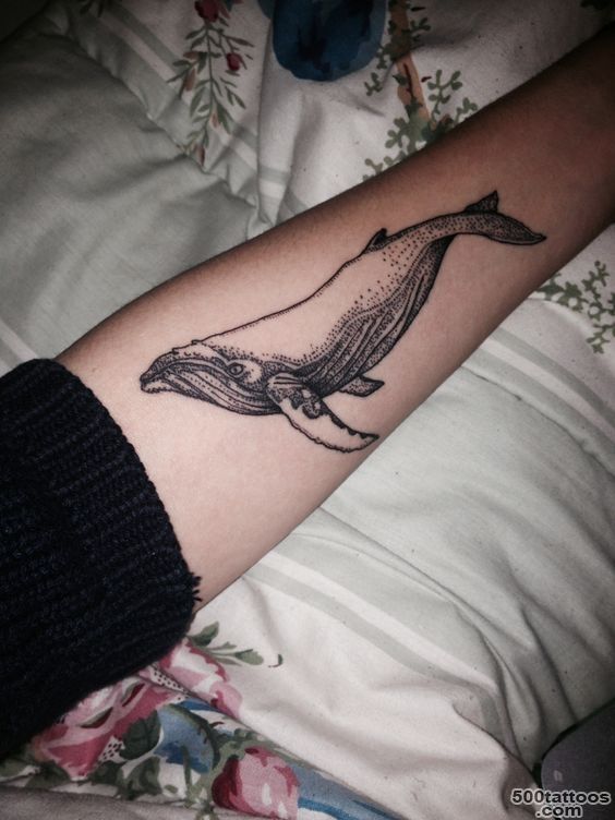 My first tattoo   humpback whale done at Chronic Ink.  Tattoo Art ..._19