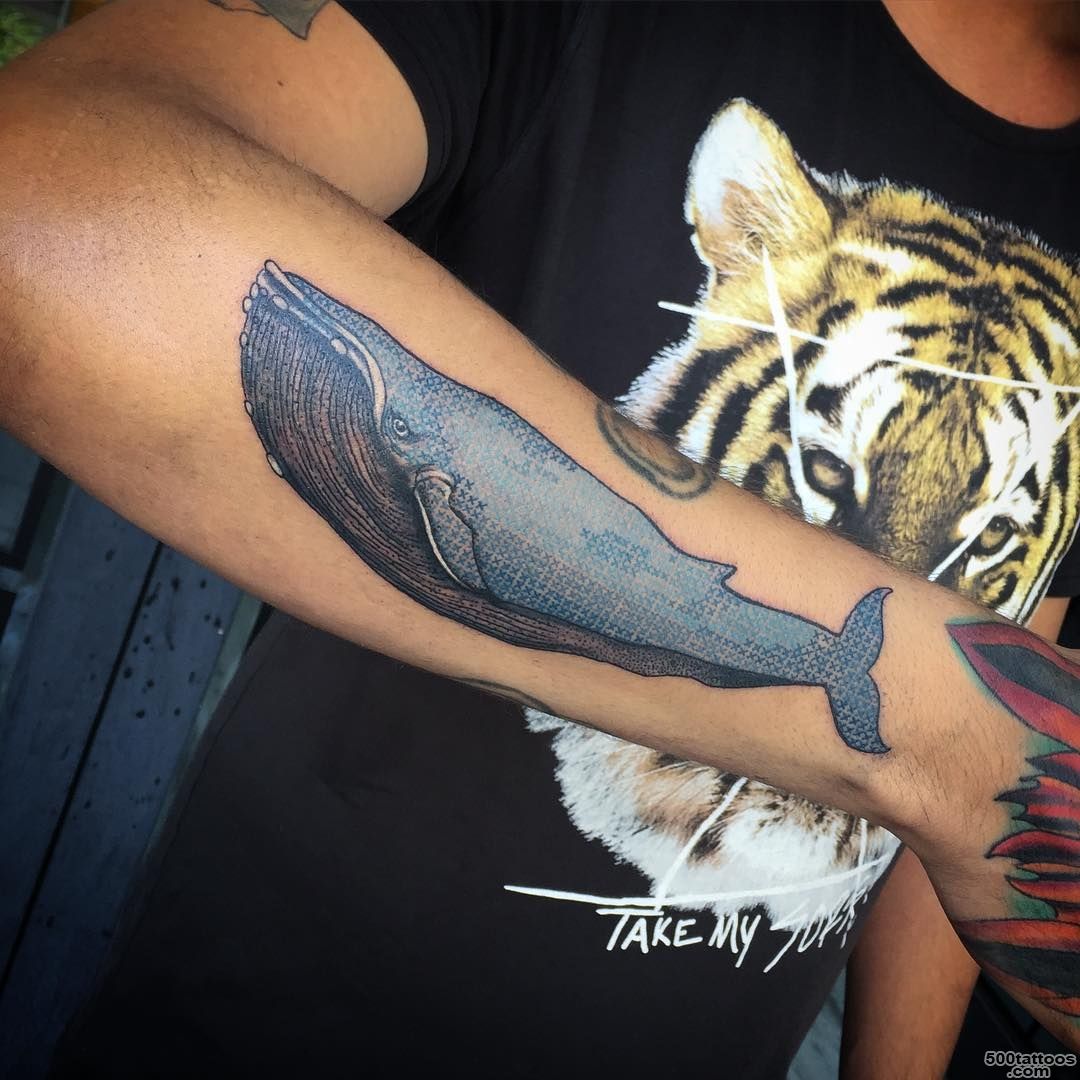 Whale Tattoo Design  Best Tattoo Ideas Gallery_49