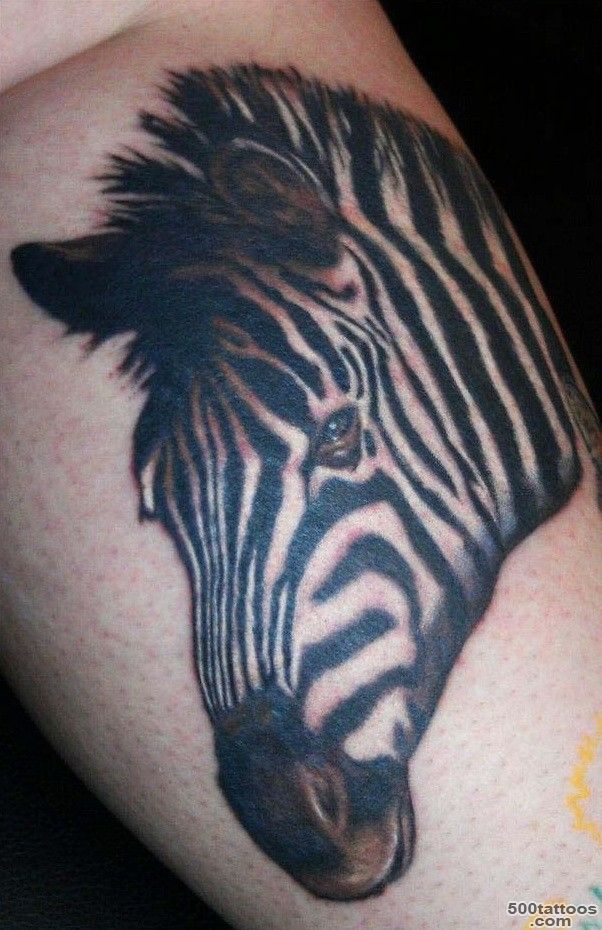 Cute funny cartoon zebra tattoo   Tattooimages.biz_37